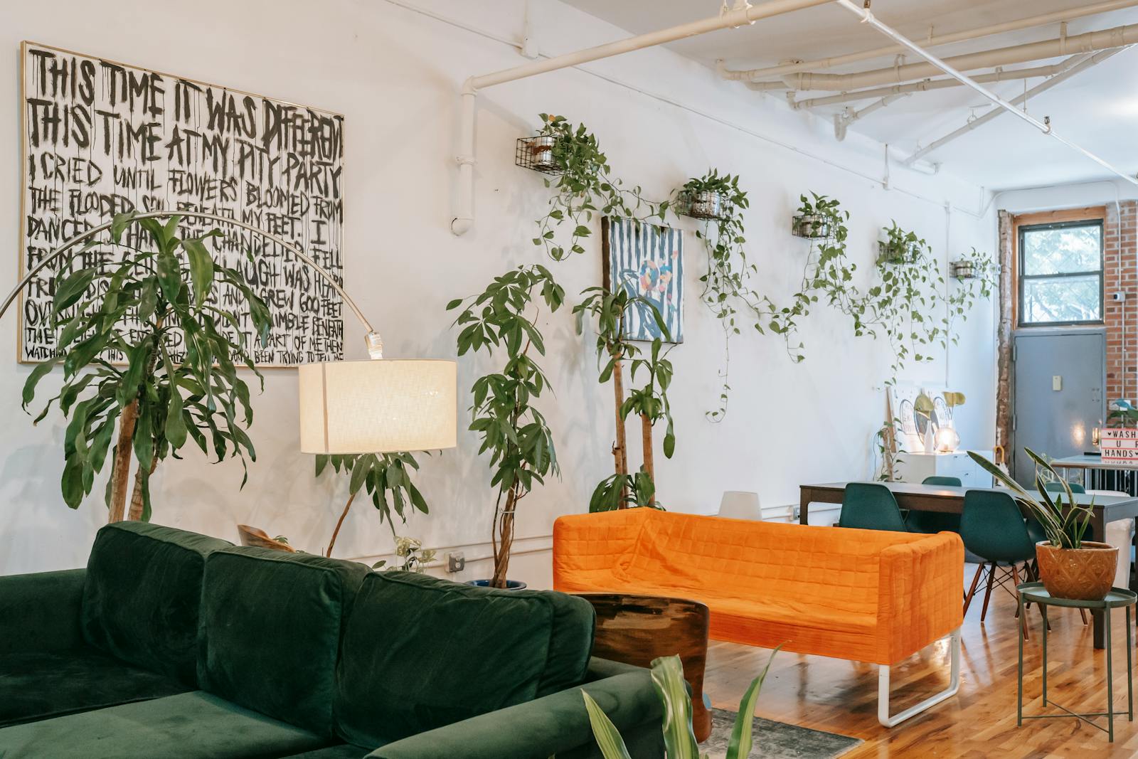 Bright living room with a sofa and many indoor plants